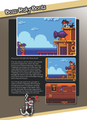 Shantae Official Strategy Guide