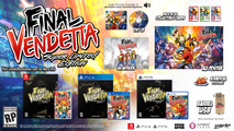 Final Vendetta Super Limited Edition (Switch)