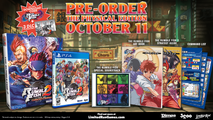 The Rumble Fish 2 Collector's Edition (PS4)